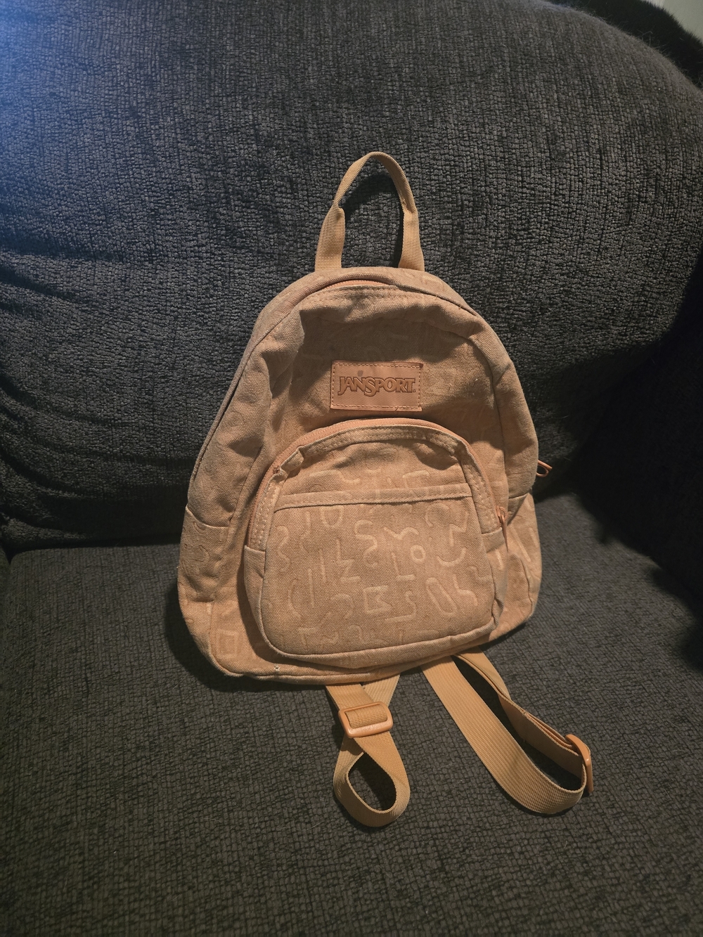 JanSport | Half Pint Mini Backpack